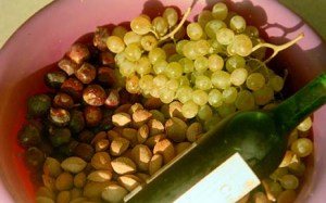 Some of our first summer's harvest - small cherry figs, moscatel grape and almonds...