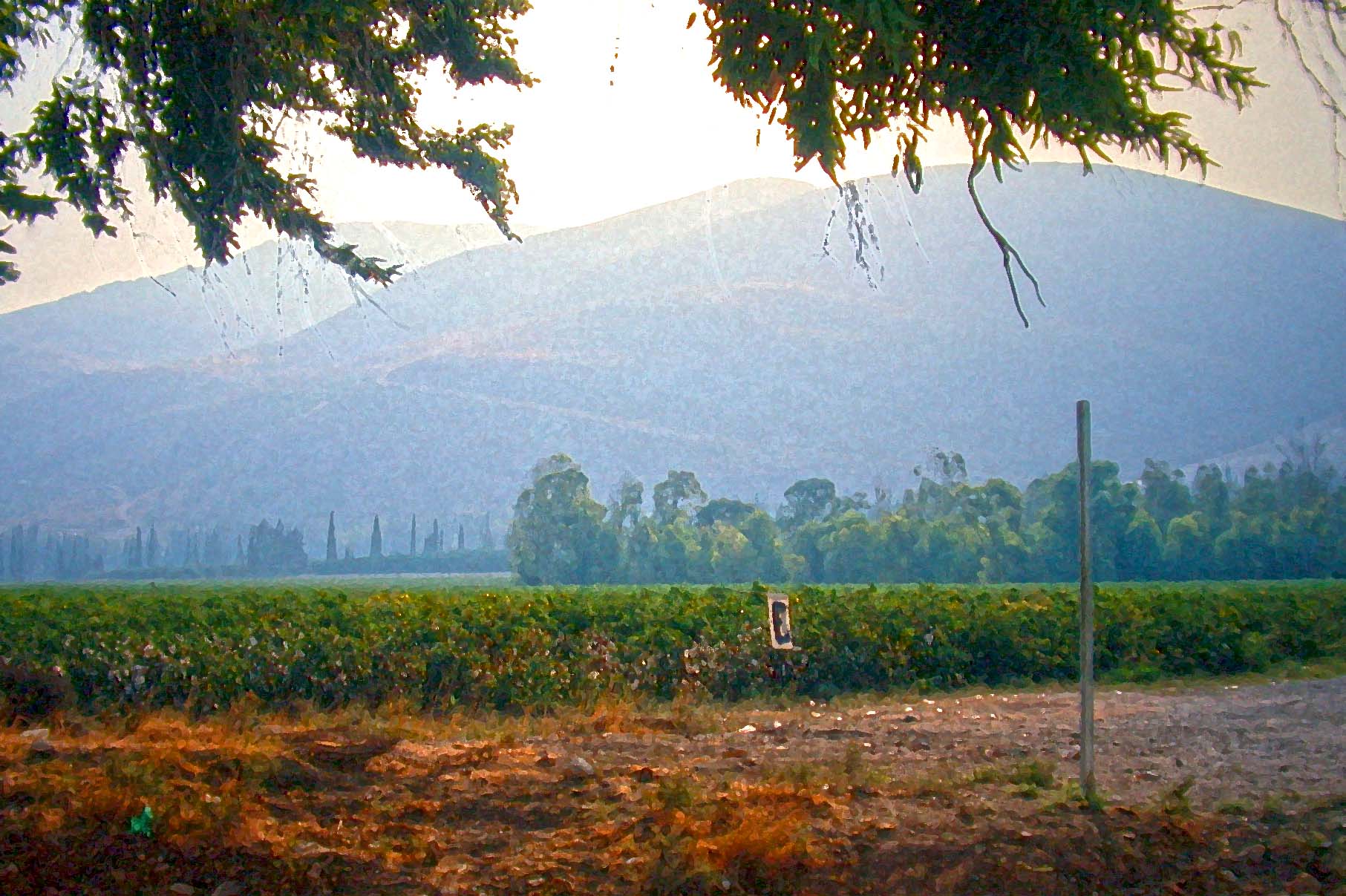 Gilboa Massif from the Jezreel Plain