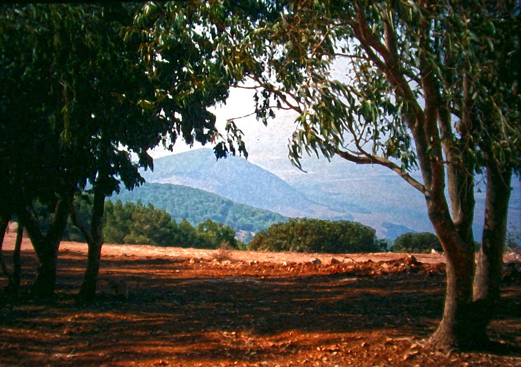 Gilboa trees